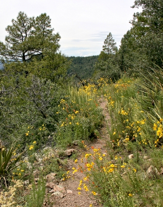 Hiking along the Crest Trail